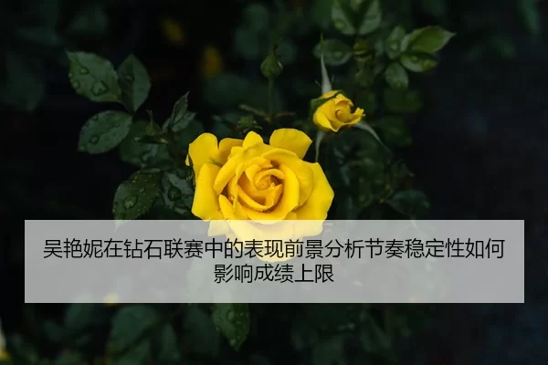 吴艳妮在钻石联赛中的表现前景分析节奏稳定性如何影响成绩上限