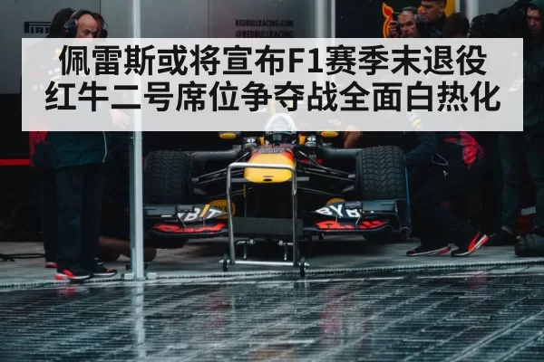 Red Bull Formula 1 team