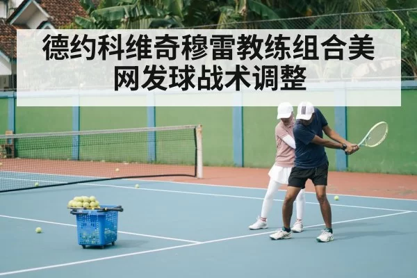 Novak Djokovic Andy Murray tennis coaching