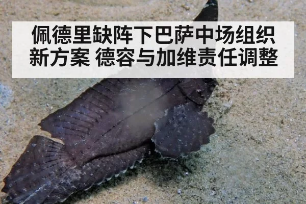 佩德里缺阵下巴萨中场组织新方案 德容与加维责任调整